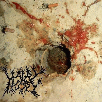 Hairy Pussy : Cellar Vomit Visions Hairy Pussy : Cellar Vomit Visions